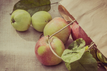 Fresh apples on a textile rustic background, copy space