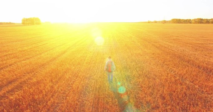 Aerial 4K UHD view. Low flight over young man tourist walking across a wheat field. Huge flat rural meadow at sunny summer day. Backpack hiker guy.
