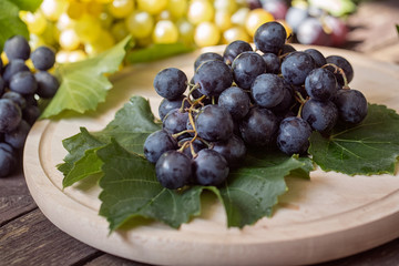 Ripe black grapes close up.