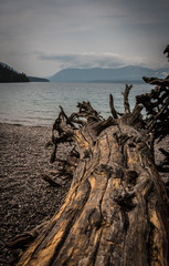 Lake McDonald