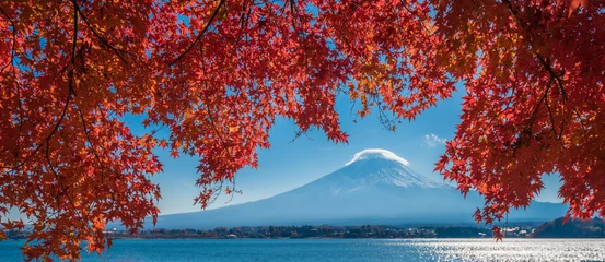Fotobehang Mount Fuji en herfst esdoorn bladeren, Kawaguchiko meer, Japan © javarman