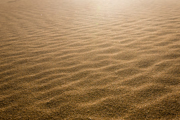 Desert sand dunes texture 