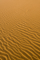 Fototapeta na wymiar Desert sand dunes texture 