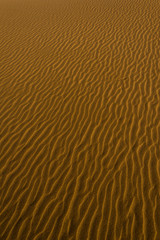 Desert sand dunes texture 