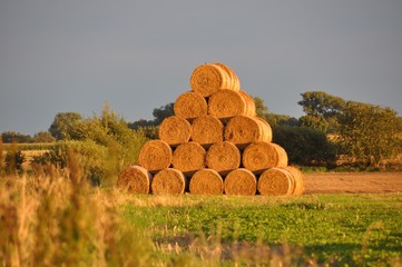 Po żniwach - Field after harvest -  Strohballen - stóg słomy © Andrew