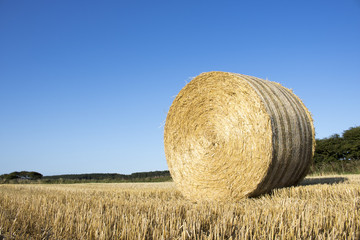 Bale of Hay in field in front of Blue Sky