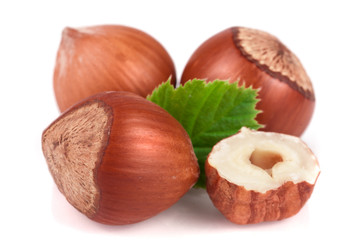 Hazelnuts with leaves isolated on white background