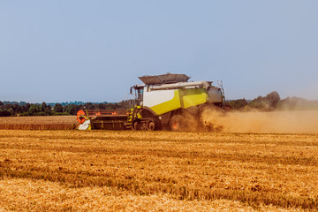 Obraz premium Combine harvester in action on wheat field. Process of gathering a ripe crop.