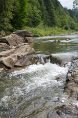 River in Bieszczady National Park. Sine Wiry.