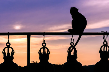 Sunset, bels and monkey in buddhism temple, Thailand