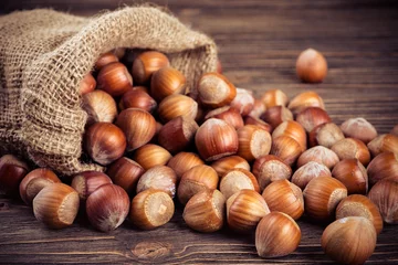 hazelnut © Andreas Fischer