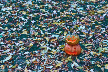 Obraz premium Halloween pumpkins outdoor in the autumn park