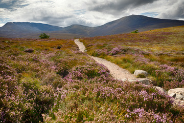 Cairngorms National Park