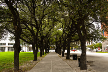 Avenue in downtown Dallas