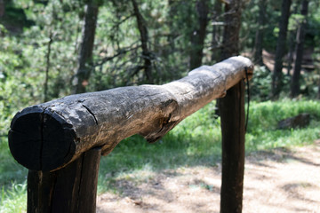 Obstacles for crossing and training in the forest