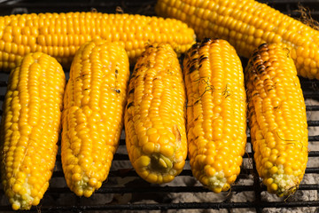 Sweet Corn on BBQ