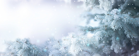 Winterbaum Urlaub Schnee Hintergrund. Schönes Weihnachtsrand-Kunstdesign