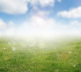 Fototapeta na wymiar Spring grass and sky background