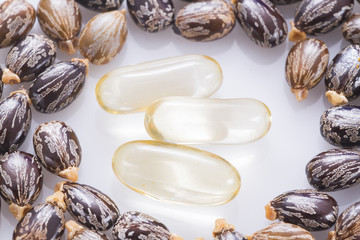 capsules and seeds of castor oil - Ricinus communis