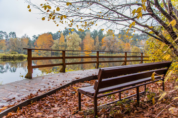 скамейка у озера в осеннем парке 