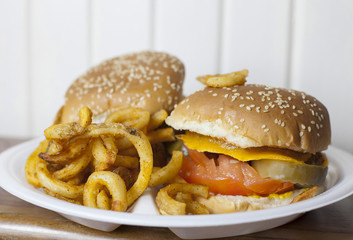 Veggie Burger and Fries