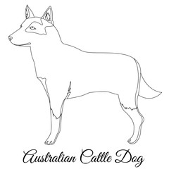Australian Cttle dog outline
