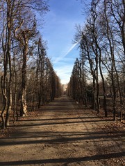 augarten autumn park