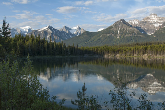 A peaceful early morning on the south end of Herber Lake, Banff Natiional Park, Alberta, Canada