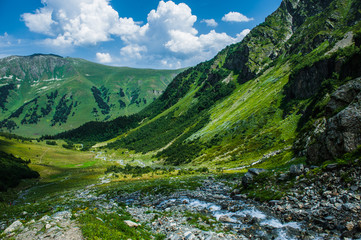 Fototapeta na wymiar The beautiful summer landscape in Arkhyz, Russia