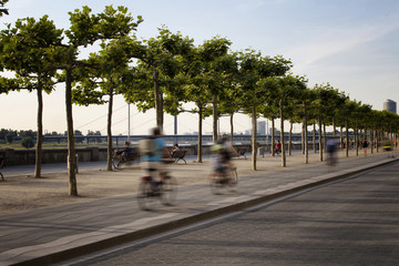 People ride bicycle in blurry motion by Rhine (Rhein) river. Tree line is also in the view. Image communicates lifestyle and culture of Dusseldorf.
