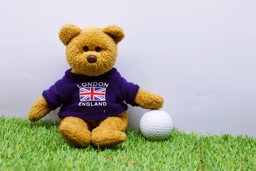 Bear with golf ball on green grass , golf rules or golf school concept
