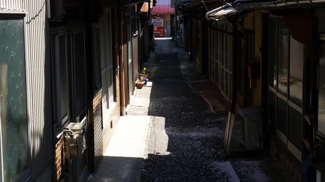路地裏に舞い散る桜