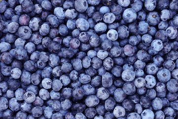 Fototapeta na wymiar blueberry background