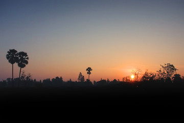 Fototapeta na wymiar Sunset with plam tree thailand silhouette