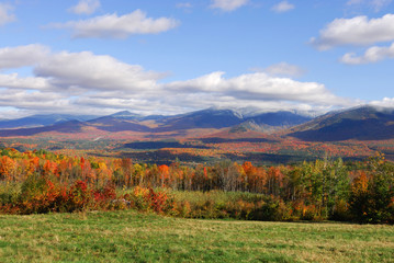 autumn mountain and colorful forest
