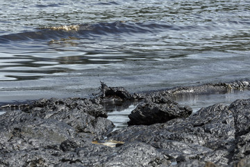Contaminated oil stains mixed with sea water