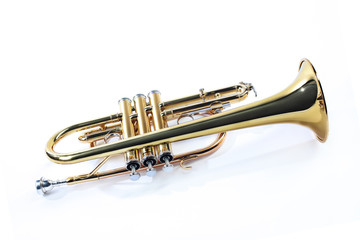 Trumpet isolated cornet. Music trumpet instrument