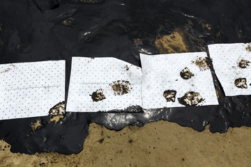 absorbent paper used for lining oil from  crude oil spilled