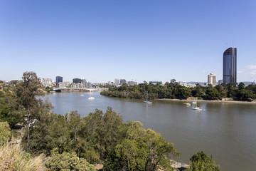Fototapeta na wymiar Brisbane River and Botanical Gardens.