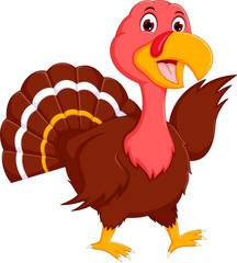 Funny turkey cartoon with posing