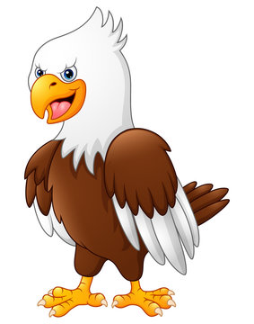Cartoon funny eagle 