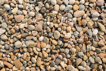 Beach rocks background