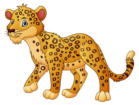 Leopard Cartoon Images – Browse 748 Stock Photos, Vectors, and Video |  Adobe Stock
