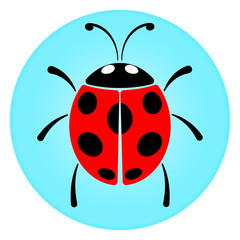 ladybug circle icon concept