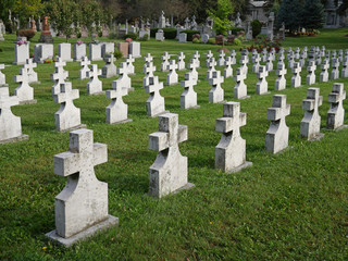 cemetery with cross shaped markers