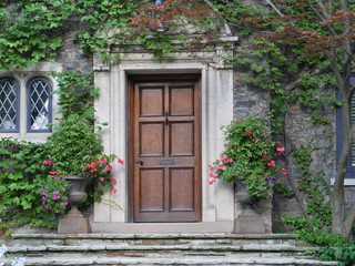 wooden front door of house with ivy and flower pots
