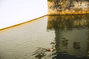 Lovely city of Tomar. Santarem District. Portugal.