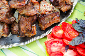 Pork Shish kebab VI