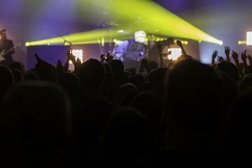 Fototapeta na wymiar Live Concert Crowd Shot