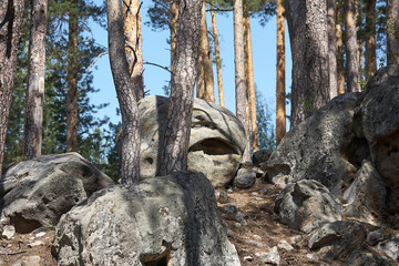 Stones in the forest